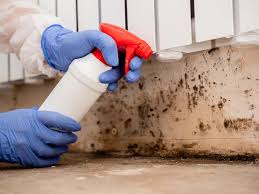 Best Biohazard Mold Removal  in Dunellen, NJ